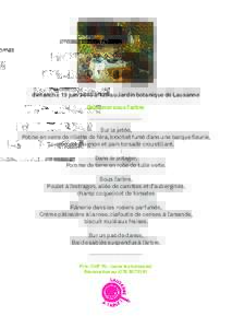 dimanche 19 juin 2016 à 12h au Jardin botanique de Lausanne Déjeuner sous l’arbre Sur la jetée, Potine en verre de rillette de féra, brochet fumé dans une barque fleurie, coques d’oignon et pain torsadé crousti