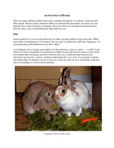 Agriculture / English Lop / Netherland Dwarf / American Fuzzy Lop / Holland Lop / Flemish Giant / Rabbit / Jersey Wooly / Checkered Giant / Rabbit breeds / Pet rabbits / Breeding