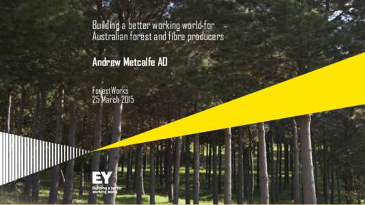 Building a better working world for Australian forest and fibre producers Andrew Metcalfe AO ForestWorks 25 March 2015
