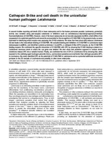 Peptidase / Apoptosis / Immune system / Leishmania / Paracaspase / Cathepsin / Miltefosine / Caspase / Trypanosomatid / Biology / Euglenozoa / Programmed cell death