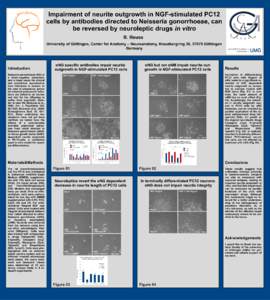 Impairment of neurite outgrowth in NGF-stimulated PC12 cells by antibodies directed to Neisseria gonorrhoeae, can be reversed by neuroleptic drugs in vitro B. Reuss University of Göttingen, Center for Anatomy – Neuroa