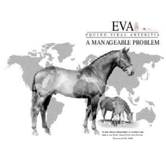 Equine herpesvirus 4 / Equine infectious anemia / African horse sickness / Virus / Gelding / Mare / Thoroughbred / Stallion / Equine herpesvirus 3 / Veterinary medicine / Animal virology / Equine viral arteritis