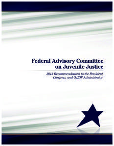 00-FACJJ Report Covers 1_4.indd