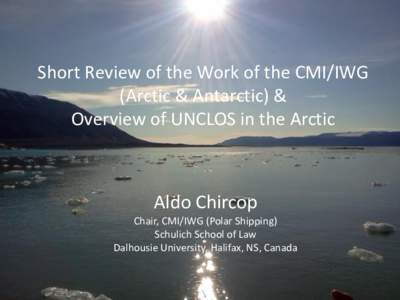 Short Review of the Work of the CMI/IWG (Arctic & Antarctic) & Overview of UNCLOS in the Arctic Aldo Chircop Chair, CMI/IWG (Polar Shipping)