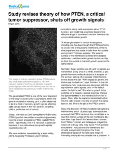 Study revises theory of how PTEN, a critical tumor suppressor, shuts off growth signals