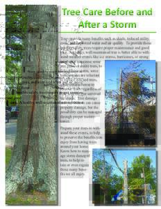 Tree Care Before and After a Storm Trees provide many benefits such as shade, reduced utility costs, and improved water and air quality. To provide those benefits safely, trees require proper maintenance and good care. A