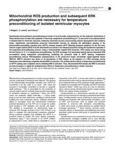 Mitochondria / Mitochondrial permeability transition pore / Neurotrauma / Ciclosporin / Ischemic preconditioning / MPTP / Preconditioner / Calcein / Myocyte / Biology / Chemistry / Cellular respiration