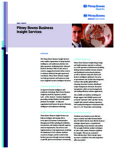 INFO SHEET  Pitney Bowes Business Insight Services  OV E R V I E W