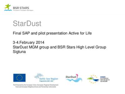 StarDust Final SAP and pilot presentation Active for Life 3-4.February 2014 StarDust MGM group and BSR Stars High Level Group Sigtuna