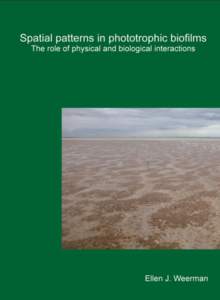 Chapter 1 General introduction Spatial patterns in phototrophic biofilms The role of physical and biological interactions