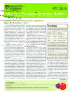 MAYMissouri Produce Growers Bulletin A Joint Publication of the University of Missouri and Lincoln University  Accidental Herbicide Damage on Vegetables