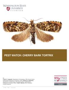 Lepidoptera / Botany / Enarmonia formosana / Tortricidae / Cherry / Trichogramma / Washington State University / Bark