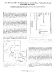 Late Holocene fluctuations in the front of the Muller Ice Shelf, Antarctic Peninsula EUGENE W. D0MAcK, Department of Geology, Hamilton College, Clinton, New YorkANDREW B. STEIN, Delta Environmental Consultants, In