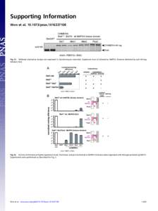 Supporting Information Won et alpnasCHIMERA: Ste5**- Ste7N - alt MAPKK kinase domain Ste5WT Ste7