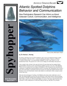 Atlantic Spotted Dolphins Behavior and Communication Spyhopper  How Participatory Research Can Inform us About