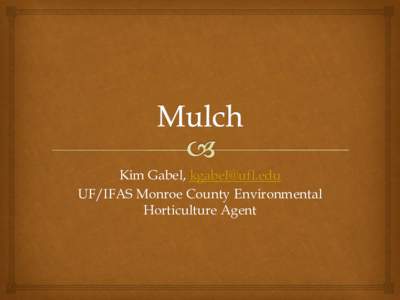 Kim Gabel,  UF/IFAS Monroe County Environmental Horticulture Agent Pine-bark Mostly Pinus elliottii & Pinus taeda