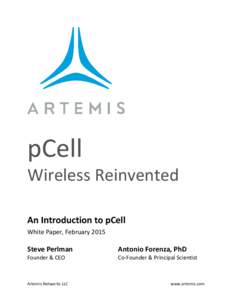 An Introduction to pCell - White Paper
