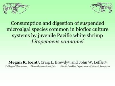 Consumption and digestion of suspended microalgal species common in biofloc culture systems by juvenile Pacific white shrimp Litopenaeus vannamei  Megan R. Kent1, Craig L. Browdy2, and John W. Leffler3