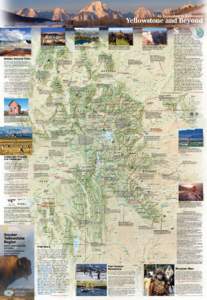 Montana / Yellowstone National Park / Yellowstone River / Grand Teton National Park / John D. Rockefeller /  Jr. Memorial Parkway / Greater Yellowstone Coalition / Madison River / Shoshone Lake / Bozeman /  Montana / Wyoming / Geography of the United States / Greater Yellowstone Ecosystem