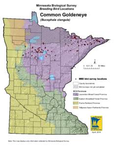 Minnesota Biological Survey Breeding Bird Locations Common Goldeneye (Bucephala clangula)
