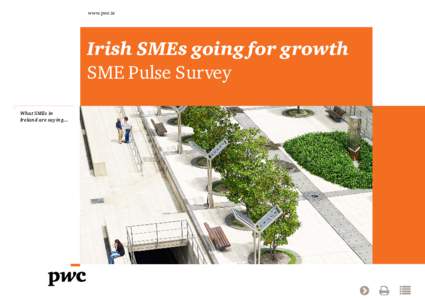 www.pwc.ie  Irish SMEs going for growth SME Pulse Survey What SMEs in Ireland are saying...