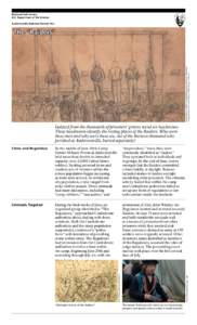 National Park Service U.S. Department of the Interior Andersonville National Historic Site Execution of six “raiders” at Andersonville prison yard by the “Regulators” Morgan Family Collections/The Diary of Philip