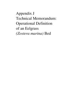 Appendix J Technical Memorandum: Operational Definition of an Eelgrass (Zostera marina) Bed