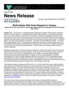 BLM Initiates Wild Horse Research in Oregon