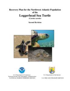 Recovery Plan for the North Atlantic Population of the Loggerhead Sea Turtle (Caretta caretta): Second Revision, 2008