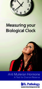 Measuring your Biological Clock Anti Mullerian Hormone  A Test for Ovarian Reserve