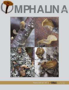 OMPHALINA ISSNNewsletter of  Vol. I, No 6