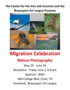 The Center for the Arts and Sciences and the Brazosport Art League Presents Migration Celebration Nature Photography May 29 - June 24