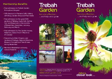 Membership Benefits •	Free admission to Trebah Garden 	 throughout the year •	10% discount in Planters Café, Gallery Gift Shop, Garden Shop and Plant Sales