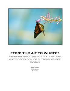 From the Air to Where?   a preliminary investigation into the winter ecology of butterflies and moths Shaun Aylward Kindergarten