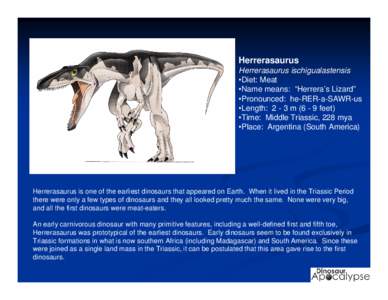 Herrerasaurus Herrerasaurus ischigualastensis •Diet: Meat •Name means: “Herrera’s Lizard” •Pronounced: he-RER-a-SAWR-us •Length: 2 - 3 m[removed]feet)