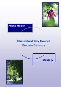 Public Health  Chelmsford City Council Executive Summary  Strategy