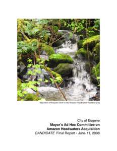 Main stem of Amazon Creek in the Amazon Headwaters Keystone area  City of Eugene Mayorʼs Ad Hoc Committee on Amazon Headwaters Acquisition CANDIDATE Final Report • June 11, 2008
