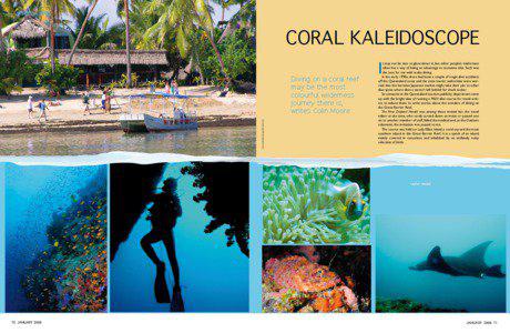 WILD  Coral kaleidoscope