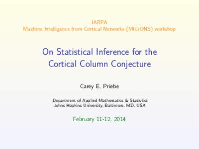 IARPA Machine Intelligence from Cortical Networks (MICrONS) workshop On Statistical Inference for the Cortical Column Conjecture Carey E. Priebe