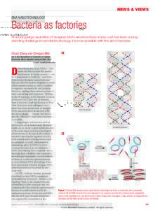 NEWS & VIEWS DNA NANOTECHNOLOGY Bacteria as factories Producing large quantities of designer DNA nanostructures at low cost has been a longstanding challenge in nanobiotechnology. It is now possible with the aid of bacte