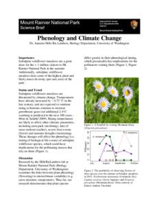 Phenology / Mount Rainier National Park / Wildflower / Erythronium montanum / Biology / Nature / Botany / Erigeron peregrinus / Erigeron / Subalpine zone