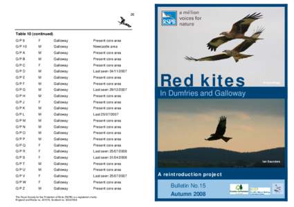 D & G Kites Report 2008