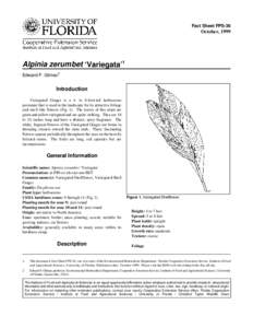 Fact Sheet FPS-36  October, 1999 Alpinia zerumbet ‘Variegata’1 Edward F. Gilman2
