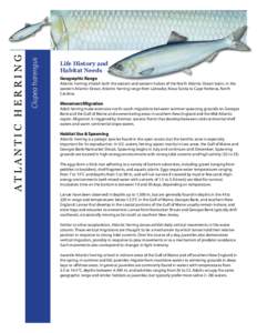 Neopterygii / Fish / Clupeidae / Anthrozoology / Ichthyology / Sport fish / Fisheries / Spawn / Atlantic herring / Herring / Gulf of Maine / Atlantic States Marine Fisheries Commission