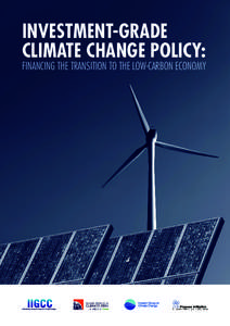 INVESTMENT-GRADE CLIMATE CHANGE POLICY: FINANCING THE TRANSITION TO THE LOW-CARBON ECONOMY  Acknowledgements