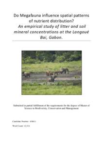 Do Megafauna influence spatial patterns of nutrient distribution? An empirical study of litter and soil mineral concentrations at the Langoué Bai, Gabon.