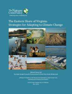 The Eastern Shore of Virginia: Strategies for Adapting to Climate Change REPORT FROM THE EASTERN SHORE CLIMATE CHANGE ADAPTATION STRATEGIES WORKSHOP A PROJECT FUNDED BY THE VIRGINIA ENVIRONMENTAL ENDOWMENT AND
