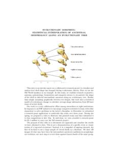 EVOLUTIONARY MORPHING: STATISTICAL INTERPOLATION OF ANCESTRAL MORPHOLOGY ALONG AN EVOLUTIONARY TREE This entry is an interim report on a collaborative research project to visualize and analyze how skull shape has changed