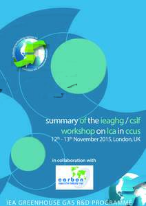summary of the ieaghg / cslf workshop on lca in ccus 12th - 13th November 2015, London, UK in collaboration with