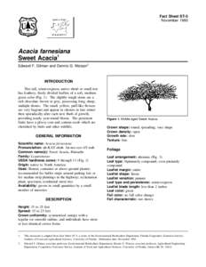 Fact Sheet ST-5 November 1993 Acacia farnesiana Sweet Acacia1 Edward F. Gilman and Dennis G. Watson2